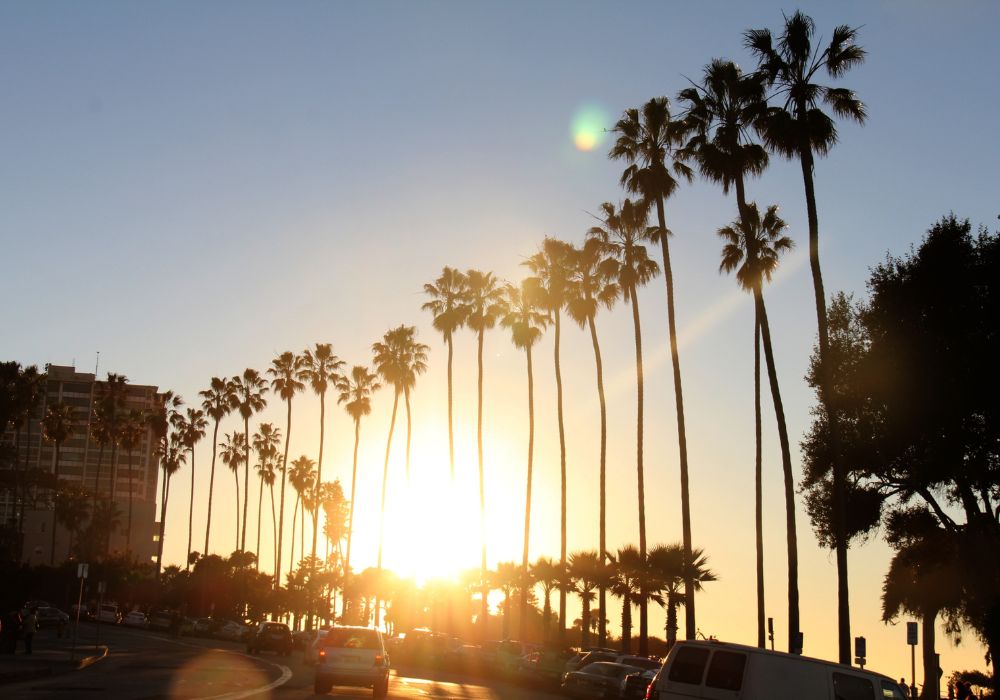 Business Law LA