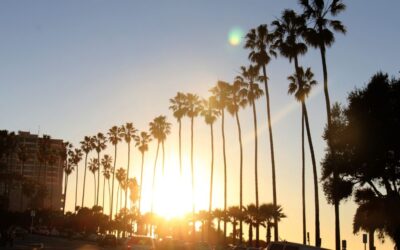 Unraveling Business Law in Los Angeles